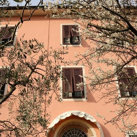 B&B Angelini Lucca Exterior foto